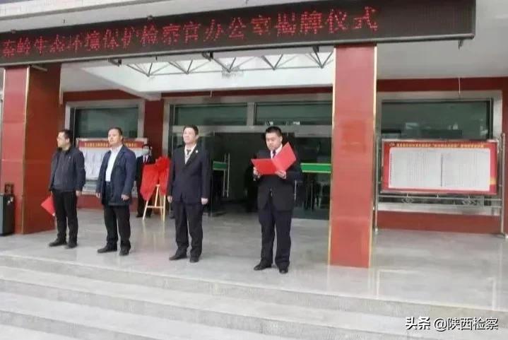 眉县横渠镇最新资讯,小巷深处的独特风味揭秘