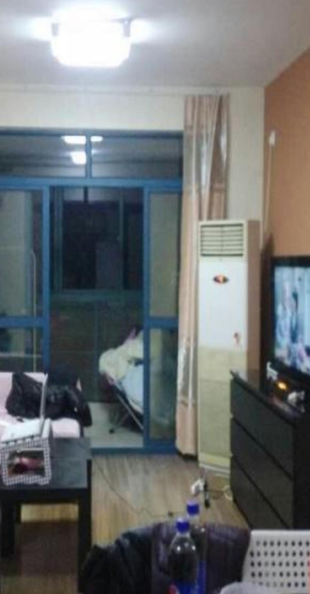 三林镇最新搬迁计划,科技引领未来,生活重塑启航