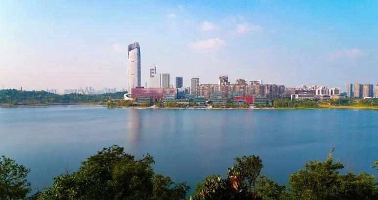 新闻点评最新动态速递