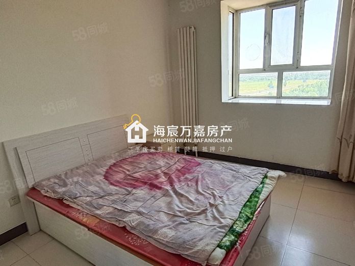 乌达租房信息详解,深度分析与个人观点分享