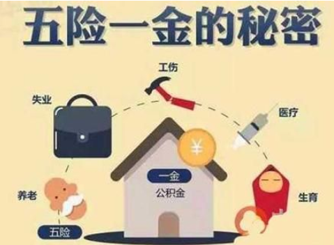 上市公司五险一金详解,步骤指南与注意事项