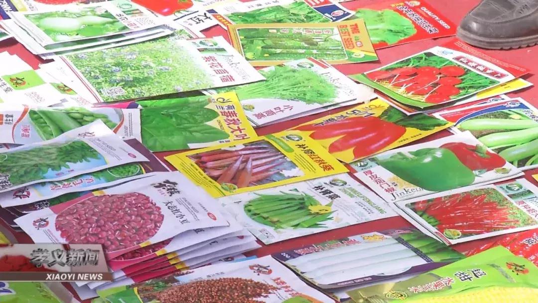 高阳招聘信息最新动态及小巷特色小店揭秘