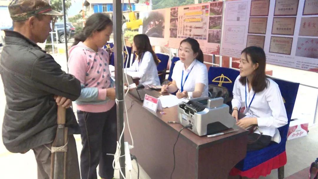 草果最新价格行情动态更新📊