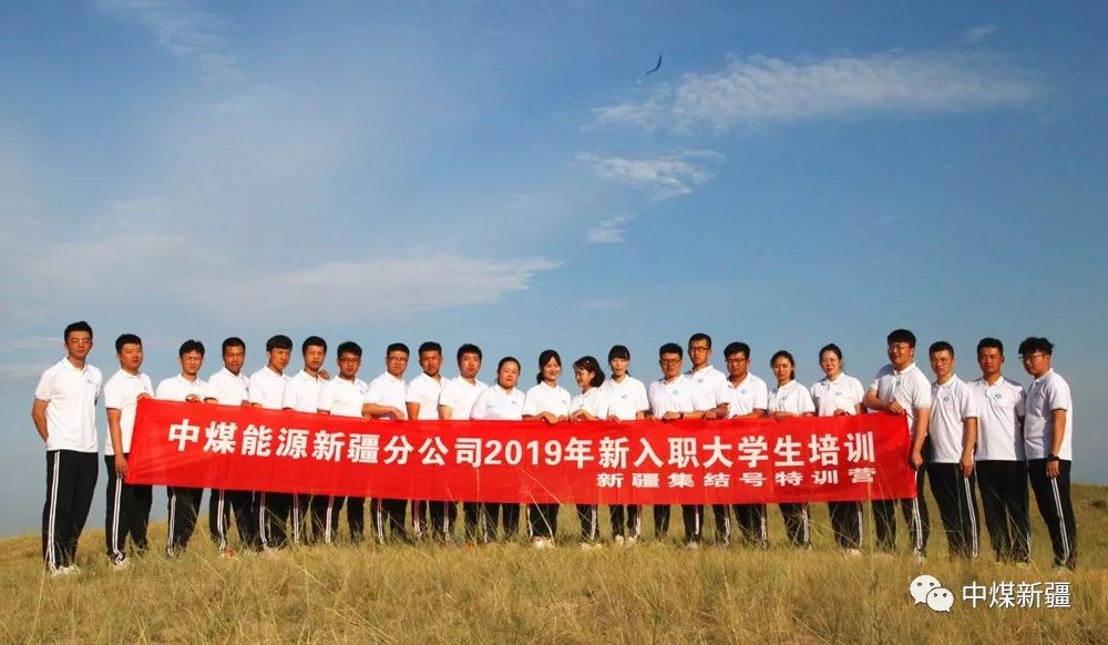 新疆国企最新招聘信息更新速递