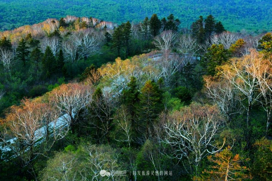 苍天厚土演员表——演绎沃土之上的温情传奇