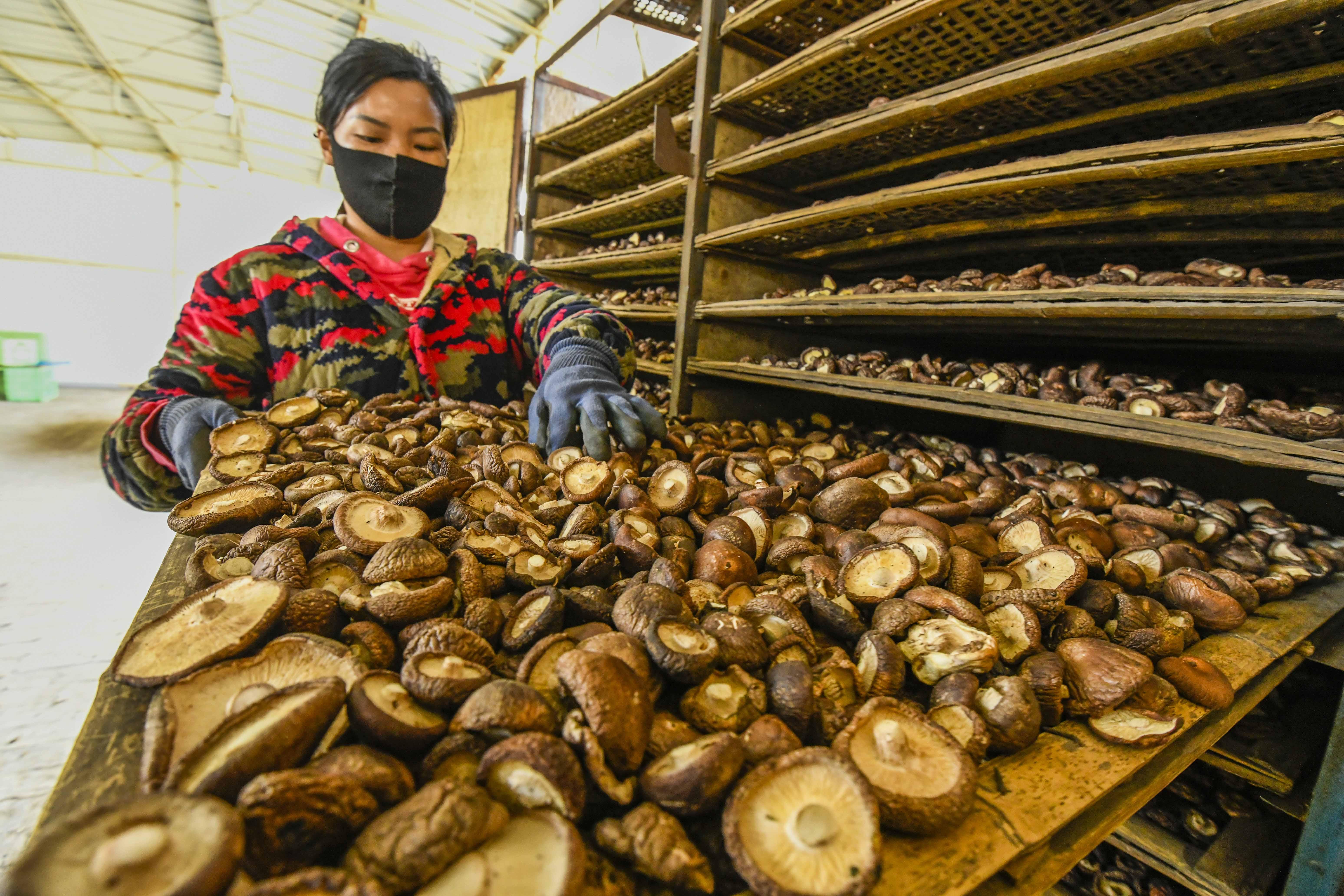 遵化就业局最新职位招聘信息更新!