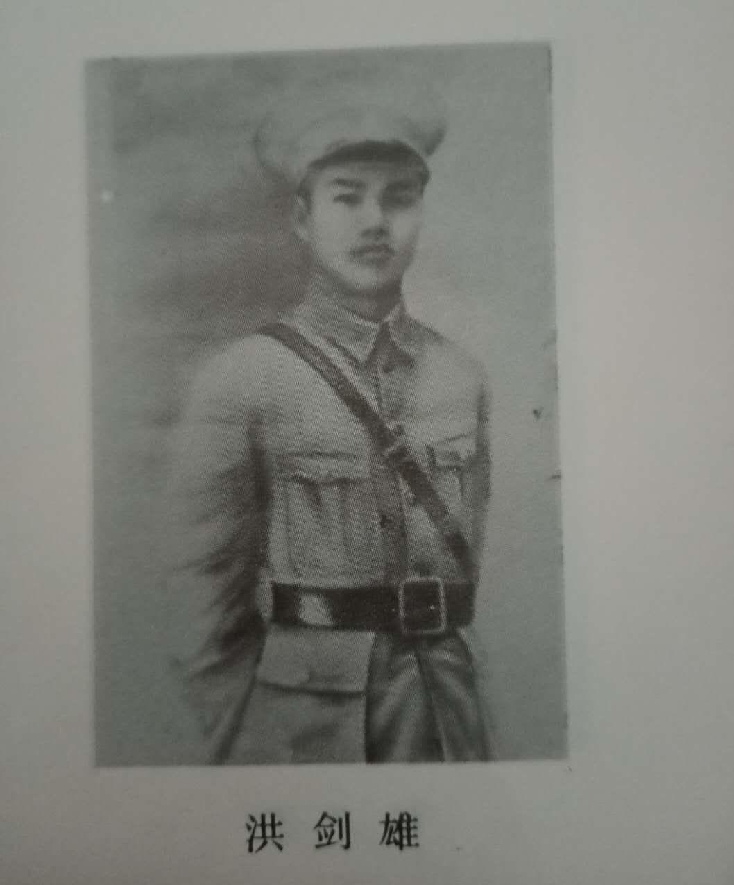 天涯浴血演员表揭秘,日常故事的温馨与趣味之旅