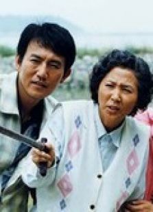 韩国电影雏妓,心灵寻找平静的绿色之旅