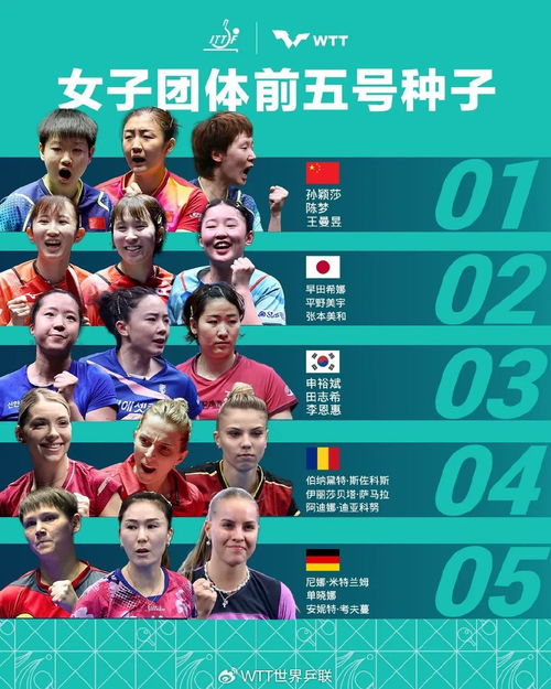 奥运会比赛项目探秘,自然美景与内心平静的旅程