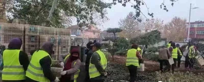 最新淄川资讯及其观点阐述