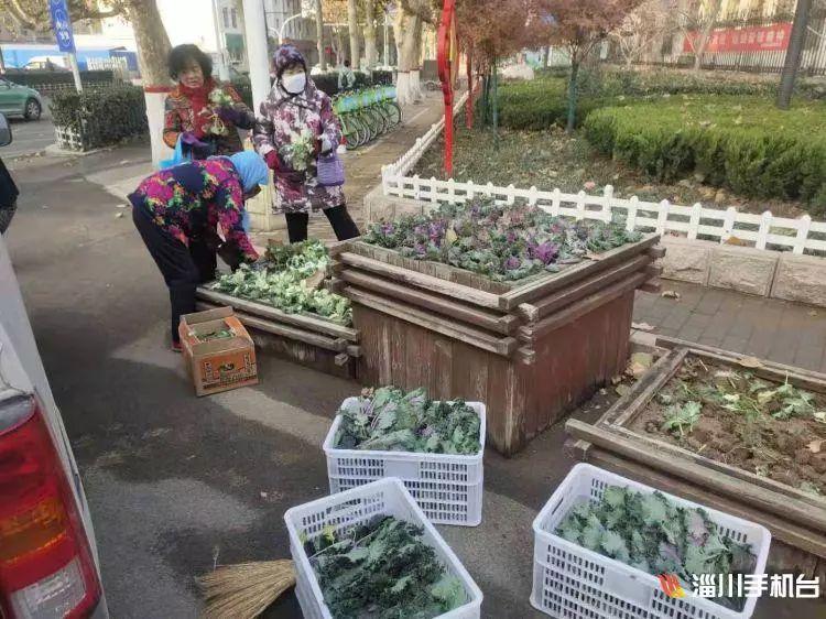 最新淄川资讯及其观点阐述