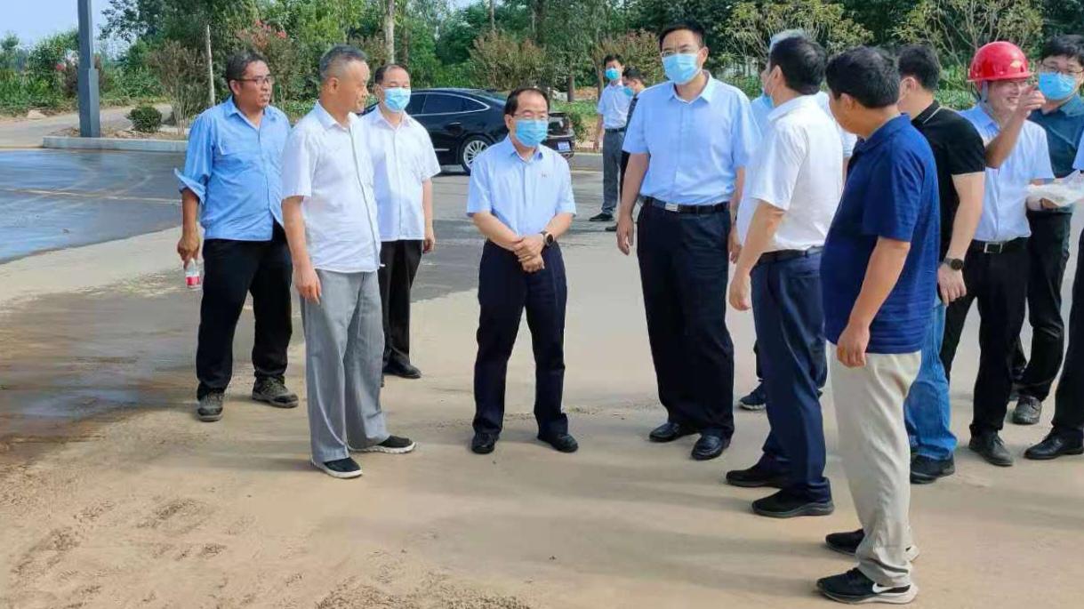 常规纺锦纶切片行情分析与操作指南,市场动态解读与策略建议