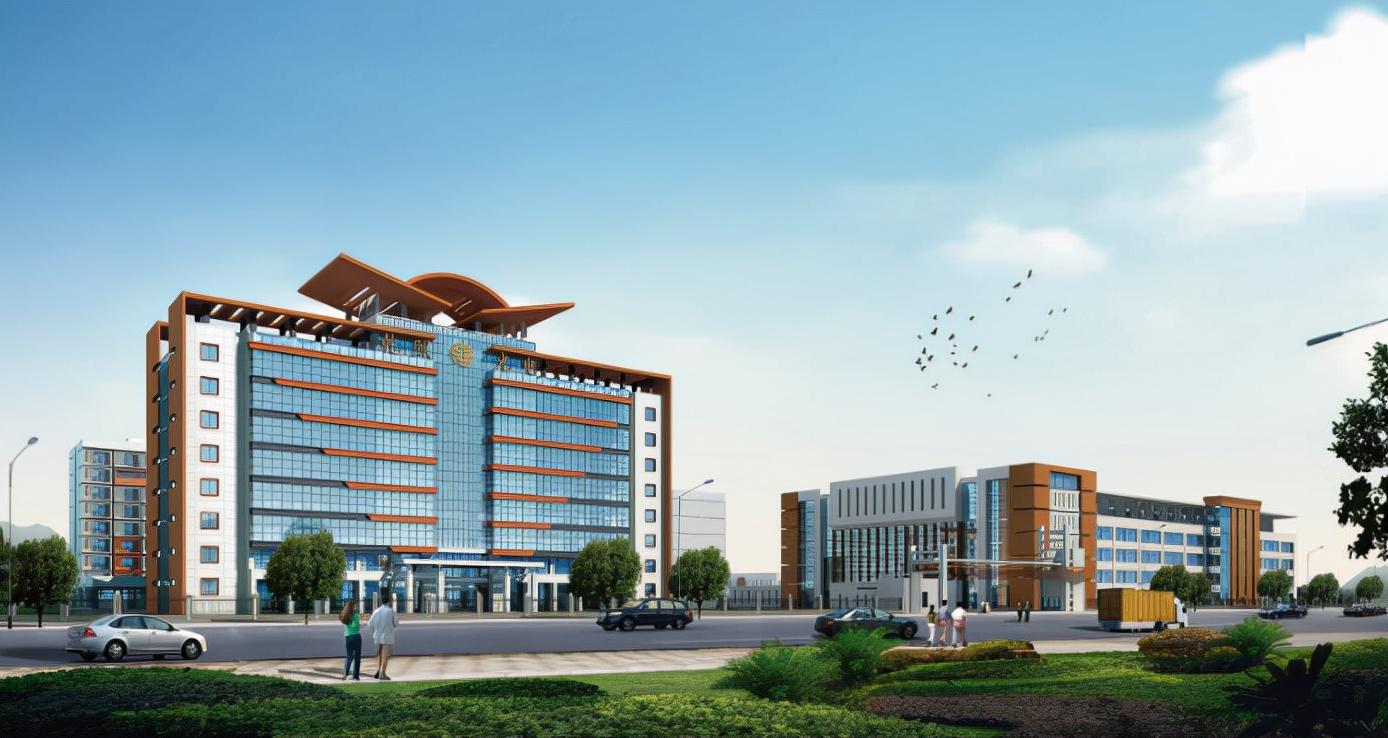 近期定向增发股票趋势解析,市场动向与关键要点探讨