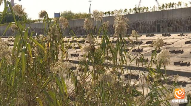 夹江新规划,夹江新规划,巷弄深处的美食秘境