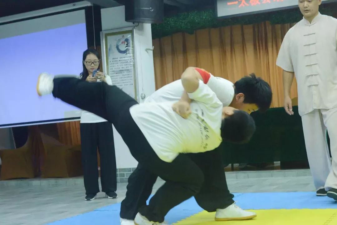 技艺与力量的较量，推手比赛视频精选展示