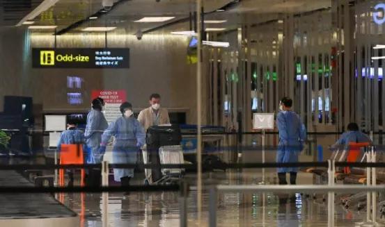 新加坡航班最新通知更新