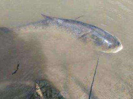 钓鱼比赛,探索自然美景的探险之旅