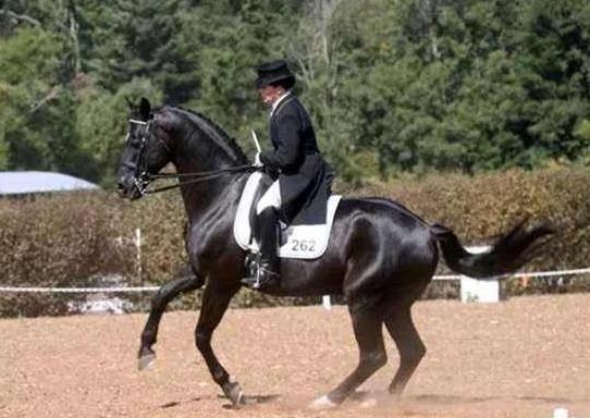 停车场服 第262页