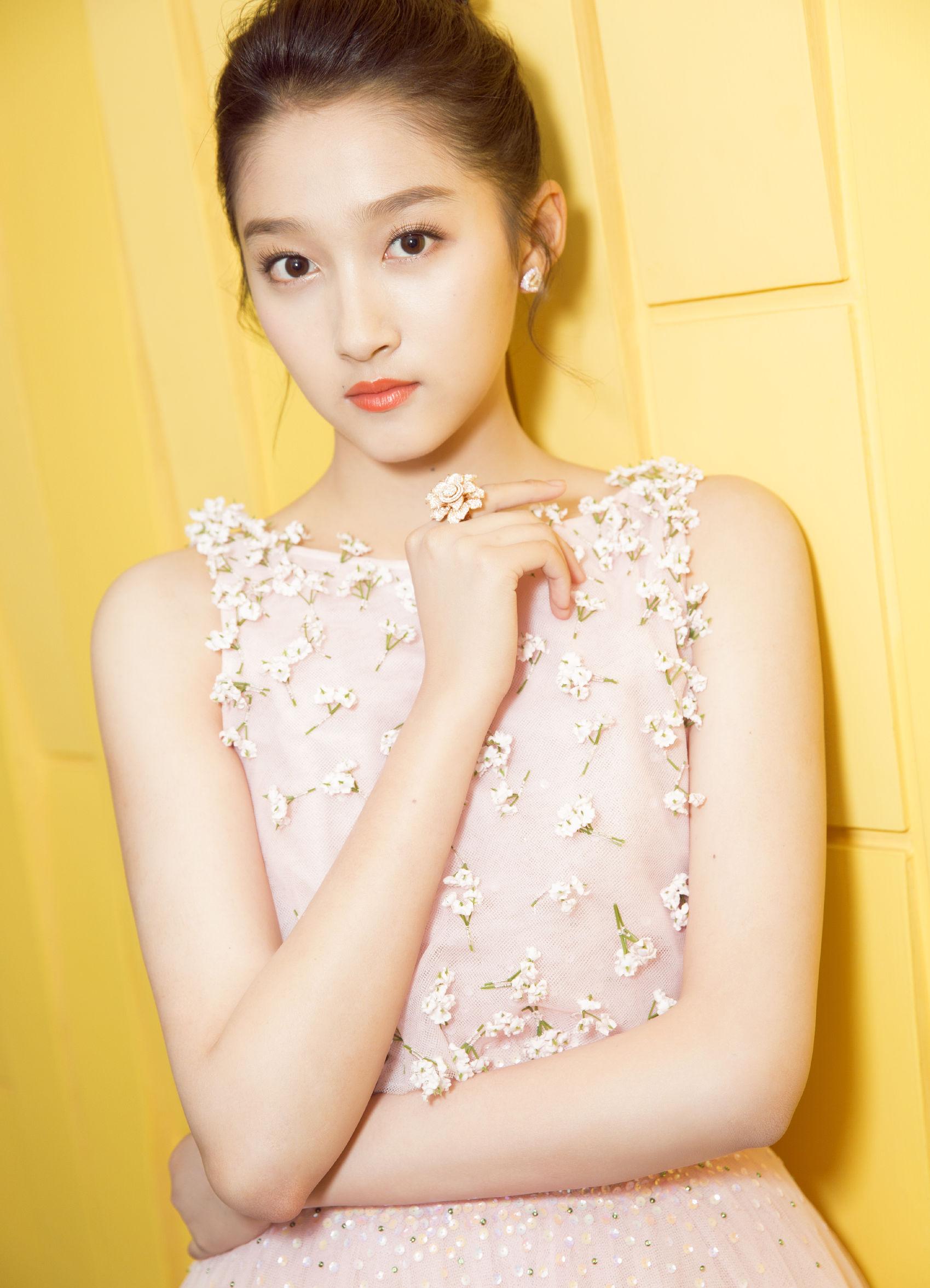 明星马匹,培养与照顾马匹的技能和步骤指南