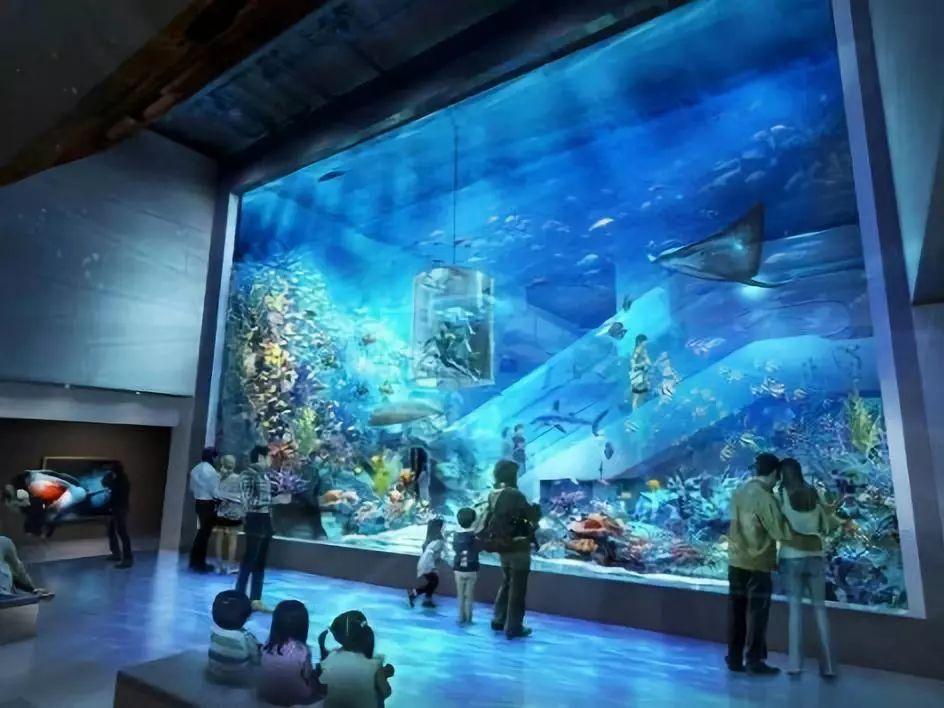 停车场服 第261页