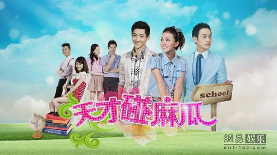 天才碰麻瓜演员表揭秘，角色塑造与演技的深度探讨