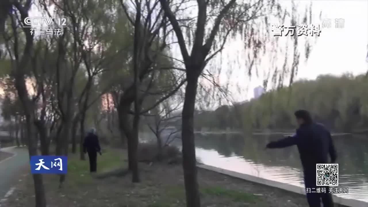 最新一期天网揭秘,深度解读与观点阐述