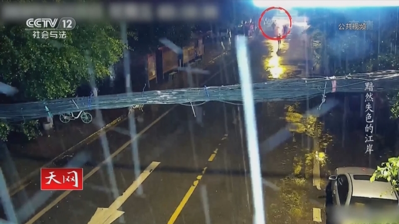 最新一期天网揭秘,深度解读与观点阐述