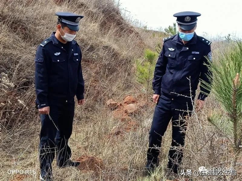 庄浪县郑河乡最新动态速递