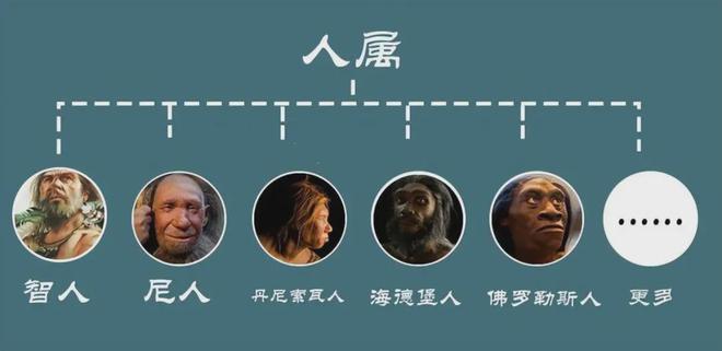 人类溯源,探寻生命起源的荧幕之旅演员表