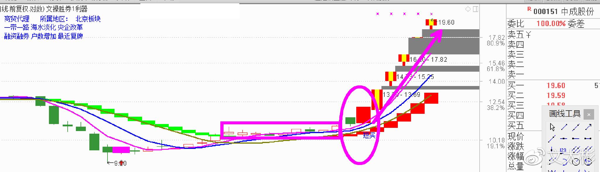 国投中鲁股票投资热点及前景展望,深度解析与预测分析