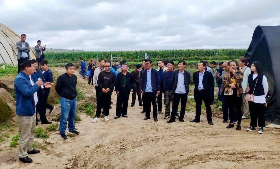 牛养殖最新动态,自然美景之旅的鼓舞人心探索