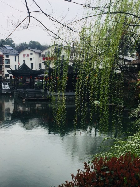 断桥残雪续集,巷弄深处的独特邂逅