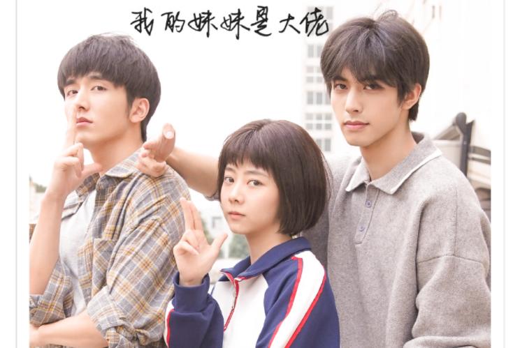 大帅哥电视剧,时代之光下的英雄传奇传奇之旅