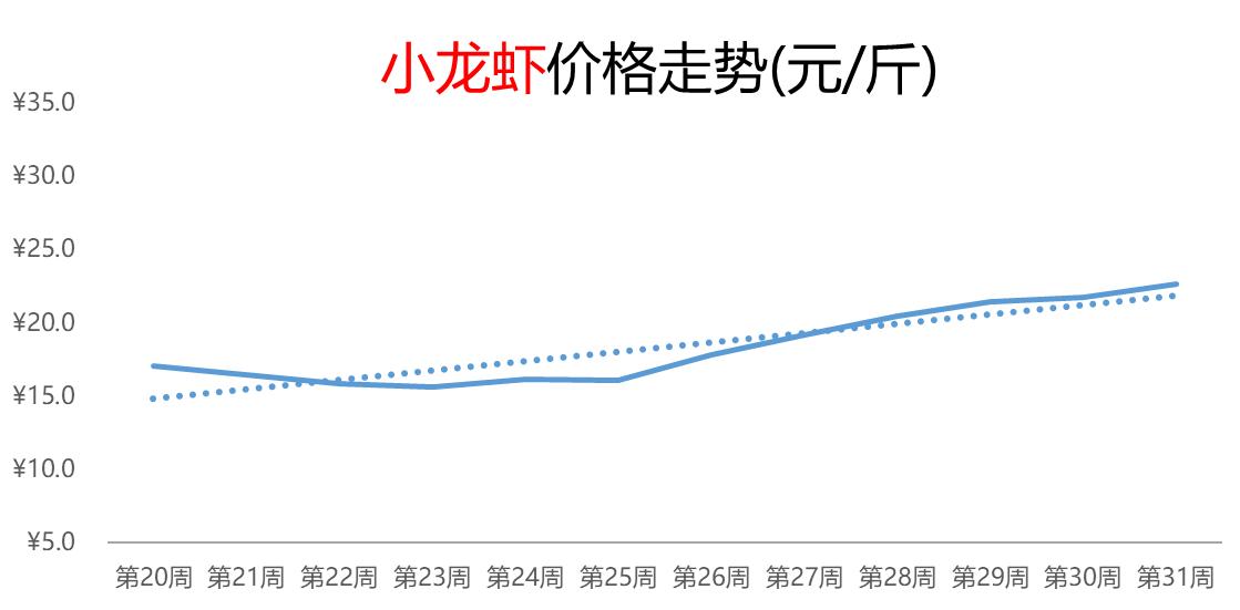 热门解读,甲鱼行情深度分析