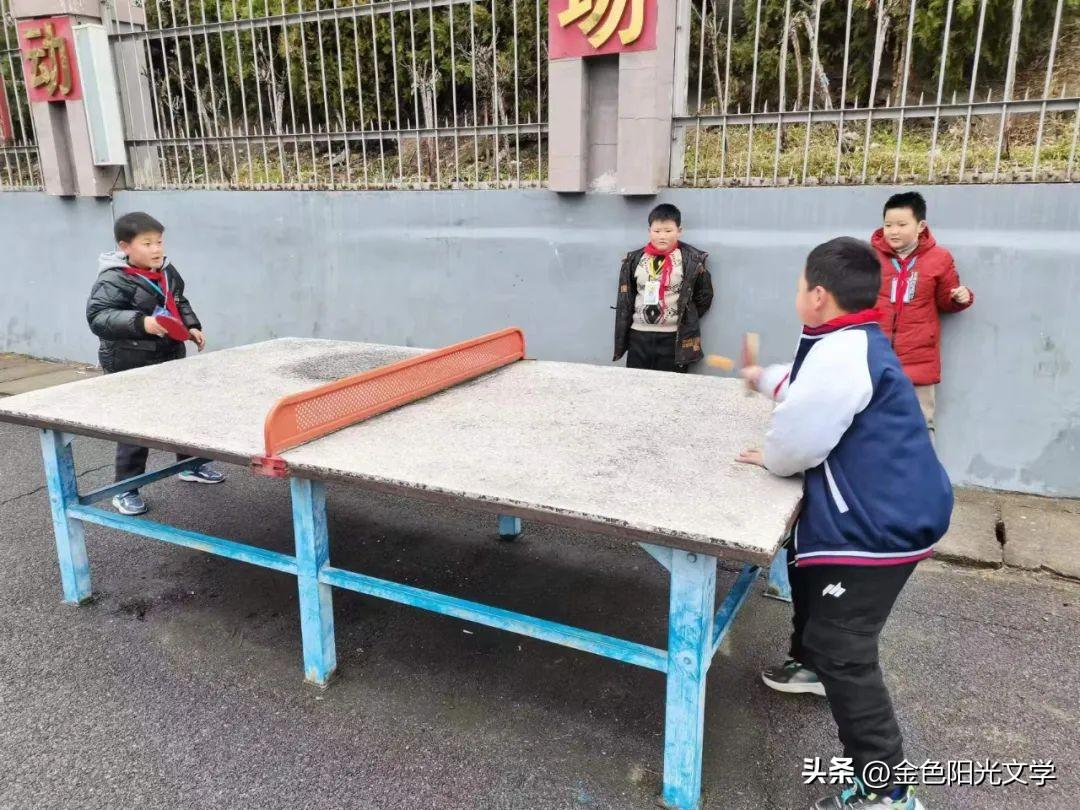 羽毛球赛场上的挥洒汗水瞬间作文