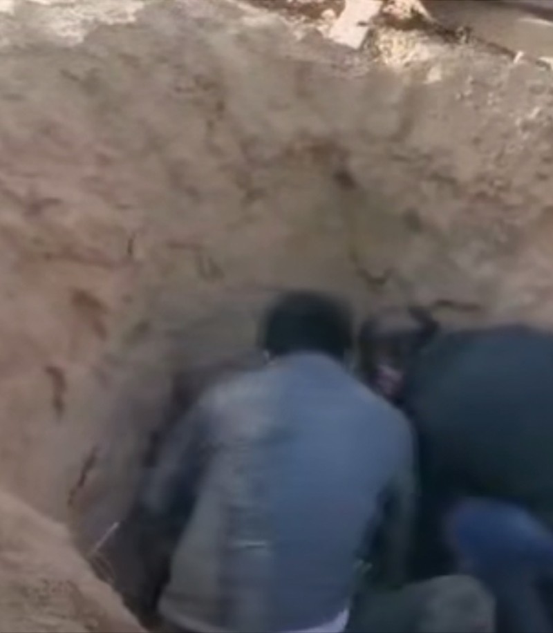 最新埋母案,伦理与法律的碰撞与挑战