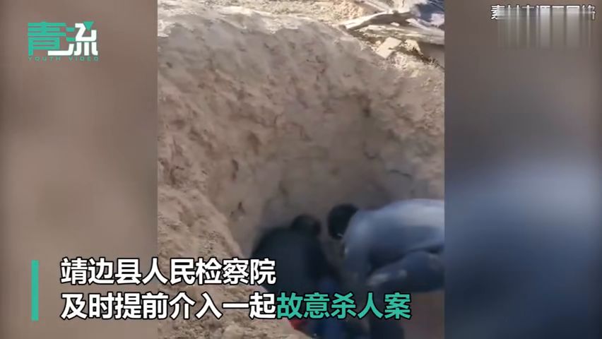 最新埋母案,伦理与法律的碰撞与挑战