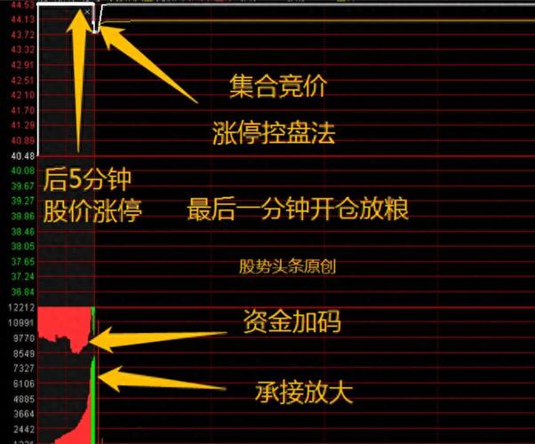 股票竞价时间的美丽邂逅,心灵与自然的交响乐章