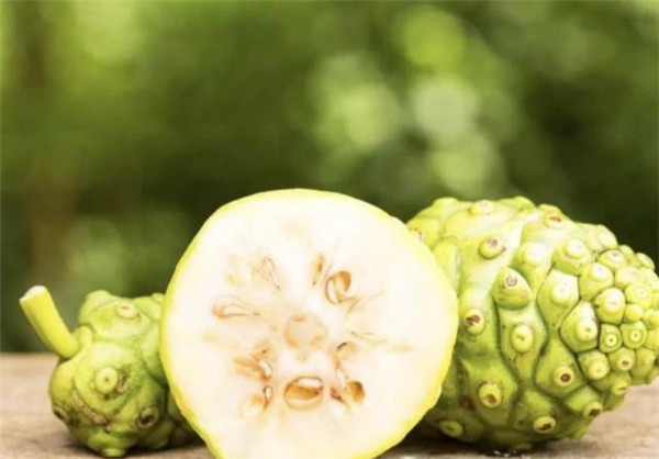 诺丽果价格表揭秘,探寻自然美景的旅行之旅