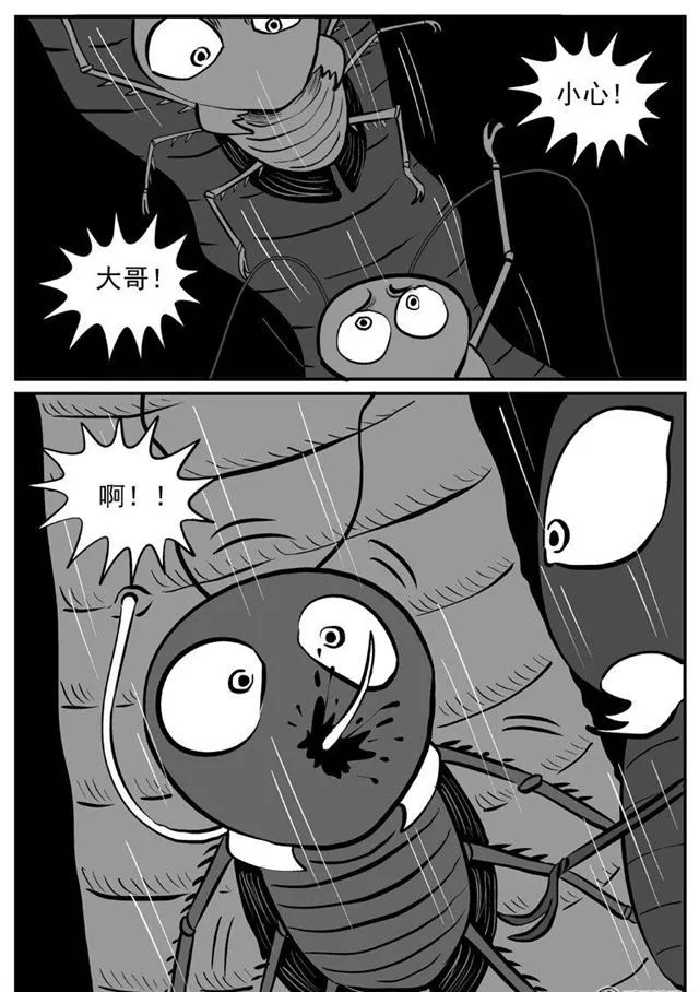 蟑螂动漫,文化现象的深度探究