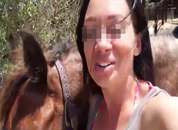 聚焦最新下马事件,要点解析与深度剖析