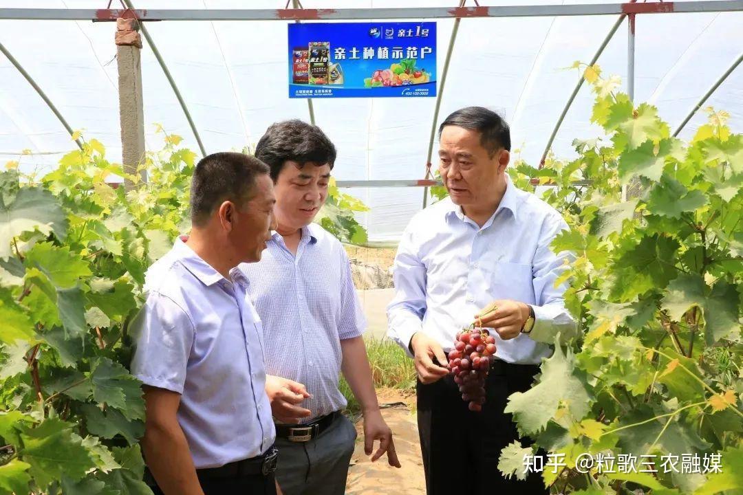 万连步新动态,技能学习与实践步骤详解