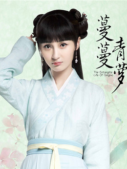 蔓蔓青萝演员阵容深度解析,角色与演员魅力揭秘