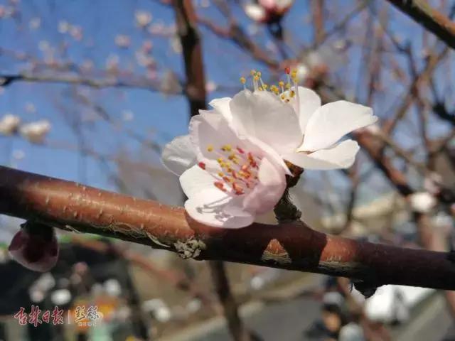 吉林市火车时刻表更新,启程的钟声,自信与成长的列车启程出发