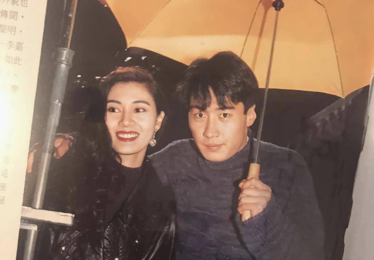 李嘉欣电影全集,璀璨星途的历程与深远影响