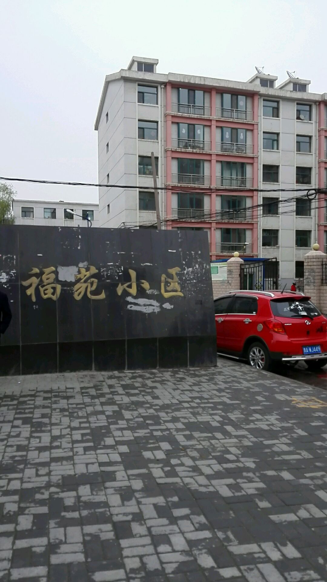 小福苑资讯,最新消息与深度分析