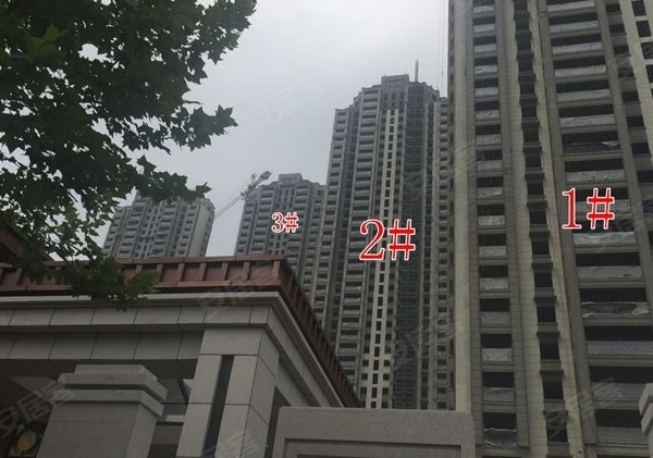 云龙观邸最新动态,小巷深处的独特风味揭秘