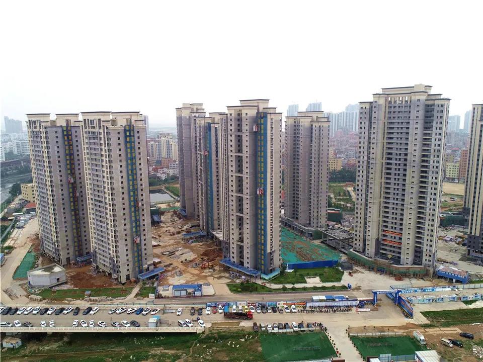 厦门新楼盘故事,家的温馨与友情的绽放日常篇章