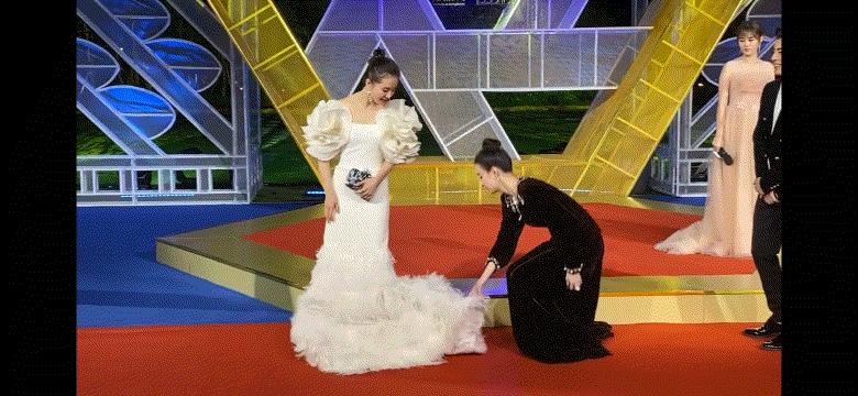 喵绅士引领猫界时尚潮流,最新动态揭秘精英风采