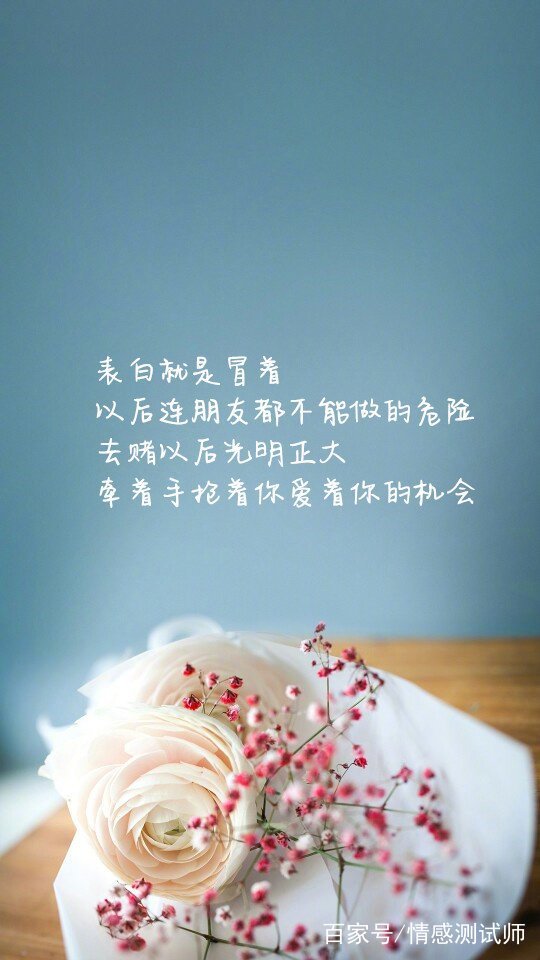 情感精选语录,温馨日常故事中的情感点滴